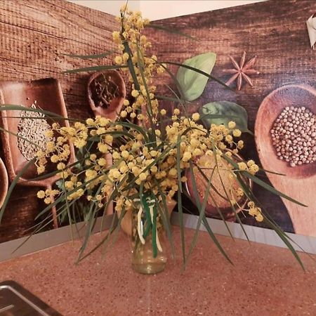 Comodo Apartamento Deltebre Bagian luar foto